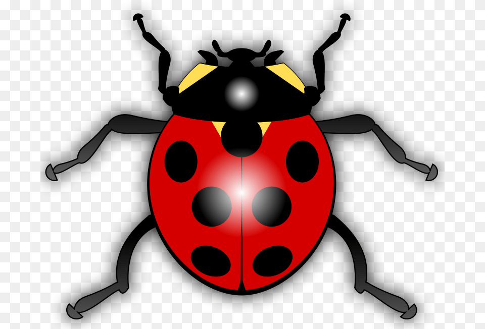 Jilagan Ladybug, Animal Free Png
