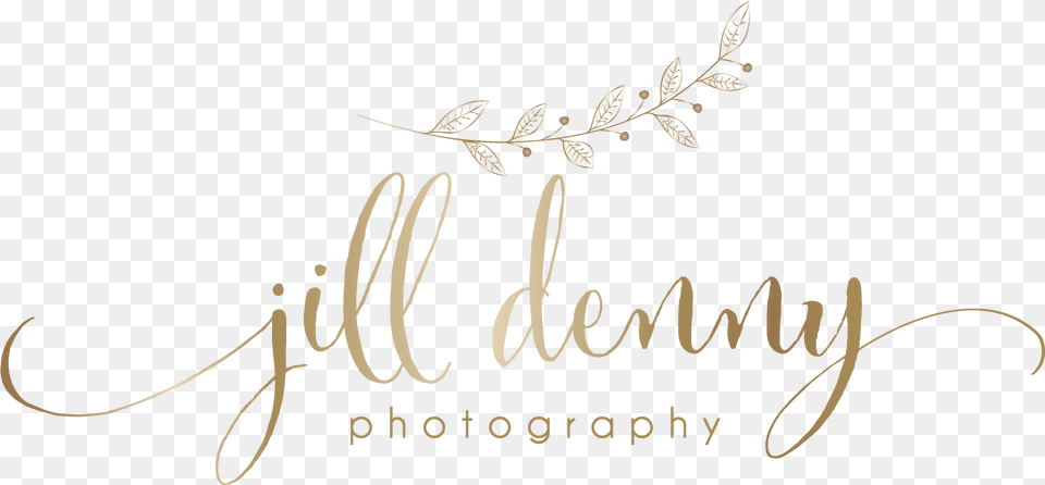 Jill Denny Wedding Family Photographer Calligraphy, Handwriting, Text Png