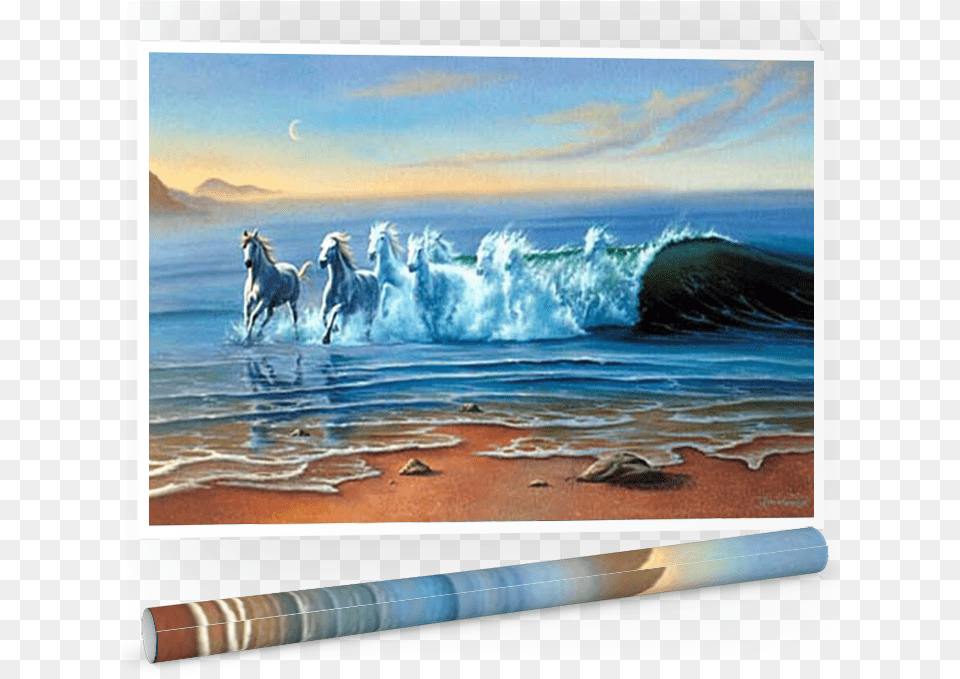 Jim Warren, Water, Sea Waves, Sea, Outdoors Png Image