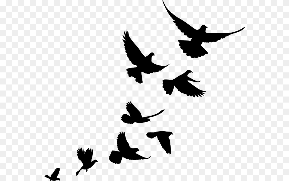 Jiminey Kricket Exterminating Pigeons Flying Bird Flock Silhouette, Animal, Fish, Sea Life Png Image