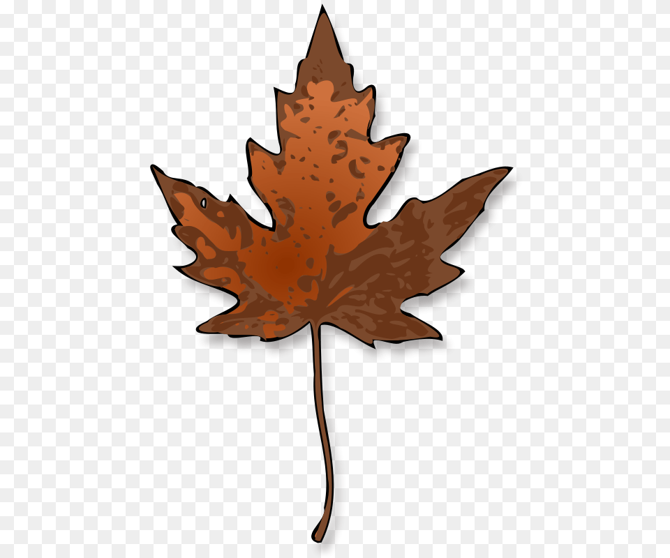 Jimmiet Maple Leaf, Maple Leaf, Plant, Tree, Baby Free Png