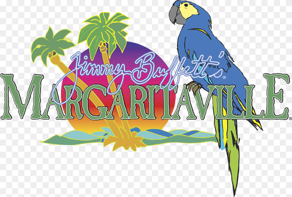 Jimmy Buffett39s Margaritaville Locations, Animal, Bird, Parrot, Person Free Png