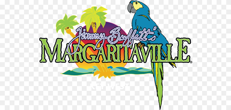 Jimmy In Key West Jimmy Buffett Margaritaville Key West, Leaf, Plant, Animal, Bird Png