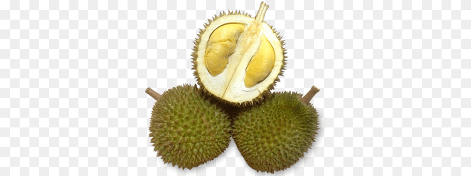Jin Feng, Durian, Food, Fruit, Plant Free Transparent Png
