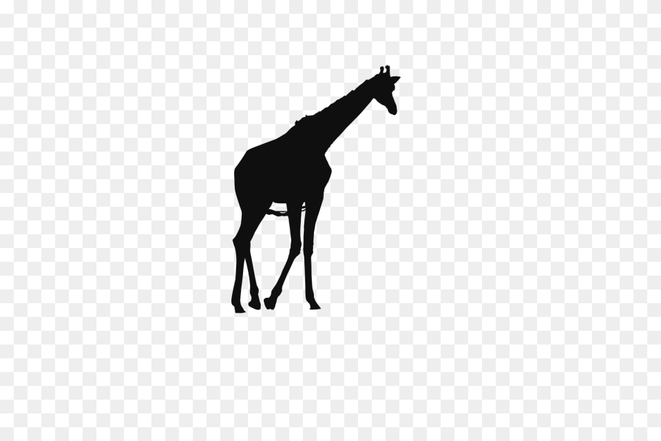 Jirafa Animales Salvajes Clip Art Background Jirafa Corte De Papel, Silhouette, Animal, Horse, Mammal Free Png Download