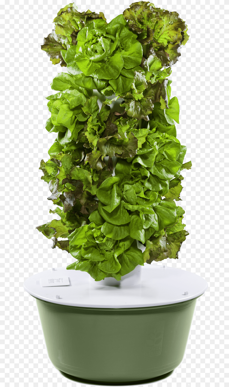 Jliba Towergarden Com Tower Garden, Food, Lettuce, Plant, Produce Png Image