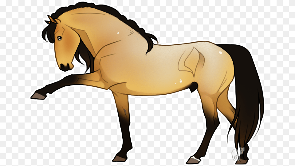 Jm Gift, Animal, Colt Horse, Horse, Mammal Png
