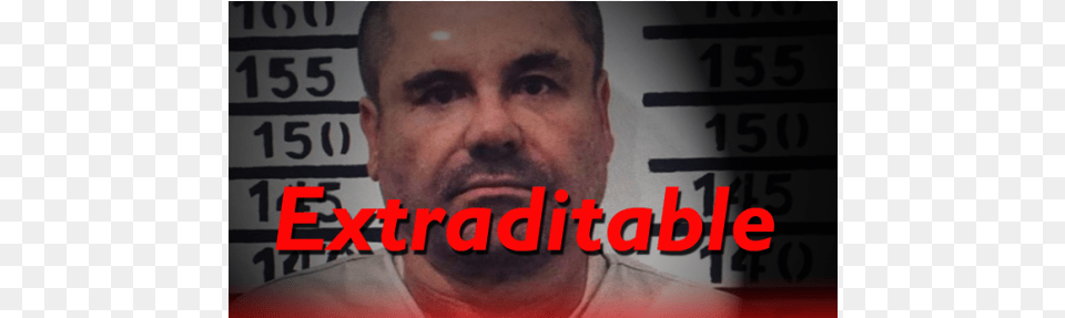 Joaquin El Chapo Guzman Mugshot Photo Art Sinaloa Cartel, Face, Head, Photography, Person Free Png