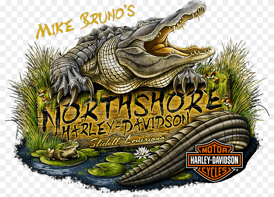 Jobs Davidson Motorcycle Mike Northshore Harley Logo, Animal, Dinosaur, Reptile, Crocodile Free Png Download