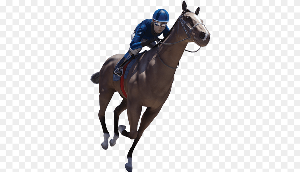 Jockey Horse, Animal, Equestrian, Person, Mammal Free Transparent Png