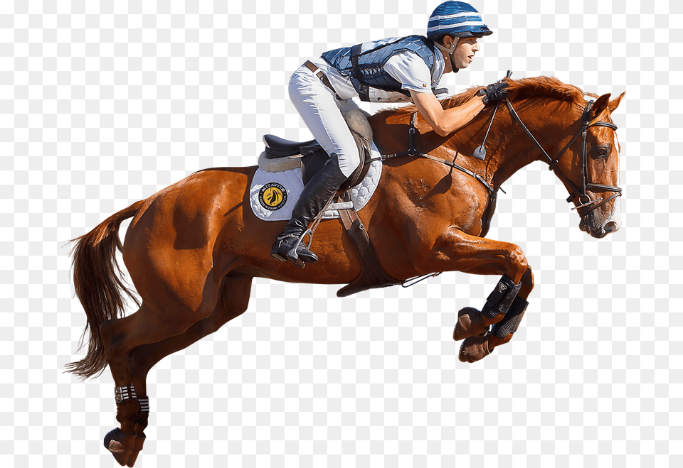 Jockey On Horse, Animal, Person, Equestrian, Mammal Free Transparent Png