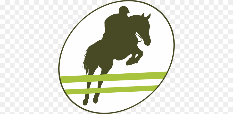 Jockey On Horse Jumping Equestrian Sport Label Vector Jumping Horse Riding, Animal, Person, Mammal, Adult Free Png Download