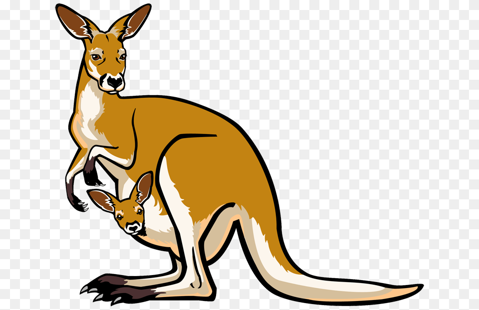 Joey Kangaroo Clipart, Animal, Mammal Free Png