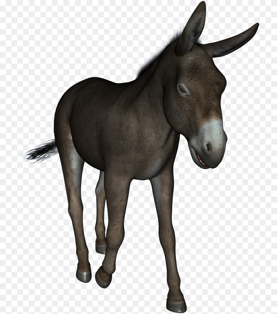 Jogo Do Bicho Burro, Animal, Donkey, Mammal, Horse Free Png
