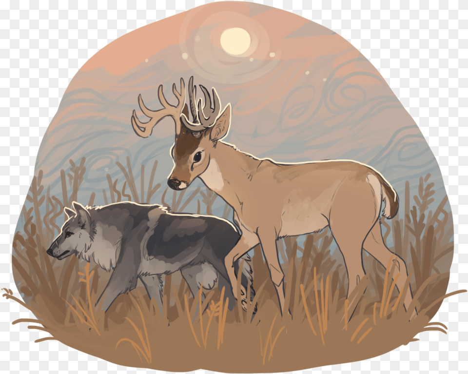 John Amp Arthur Elk, Animal, Deer, Mammal, Wildlife Png