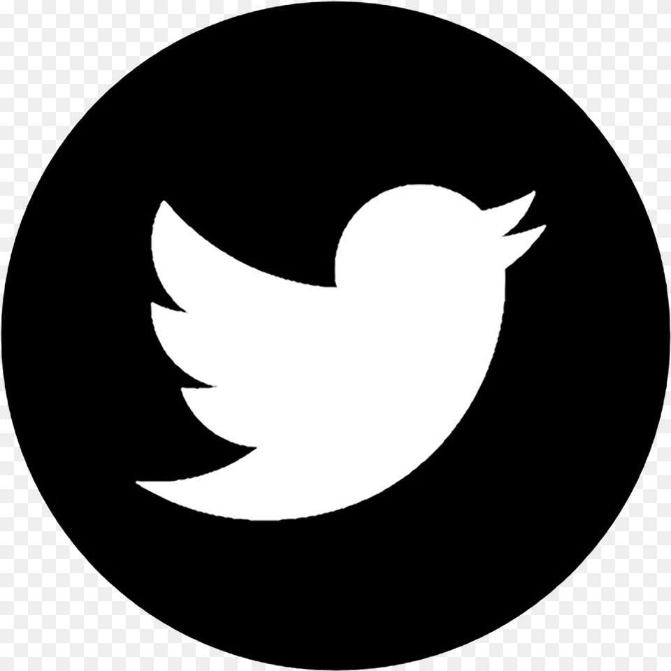 John Damato Biography Transparent Twitter Icon Grey, Logo, Symbol Png Image