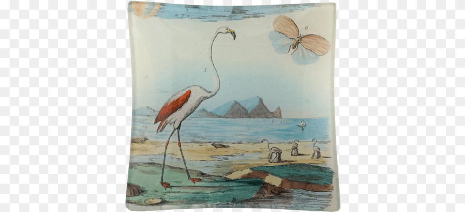 John Derian Company Inc Flamingo Flamingos And Shells, Art, Painting, Animal, Bird Png