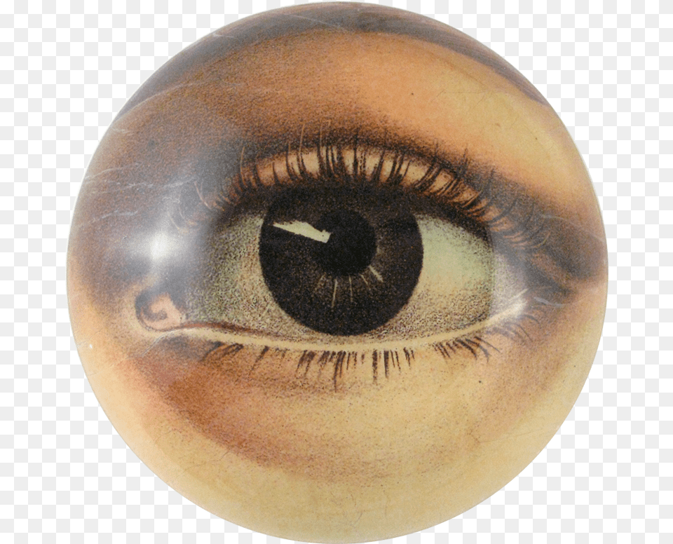 John Derian Eye Bowl, Sphere, Photography, Person, Head Free Png Download