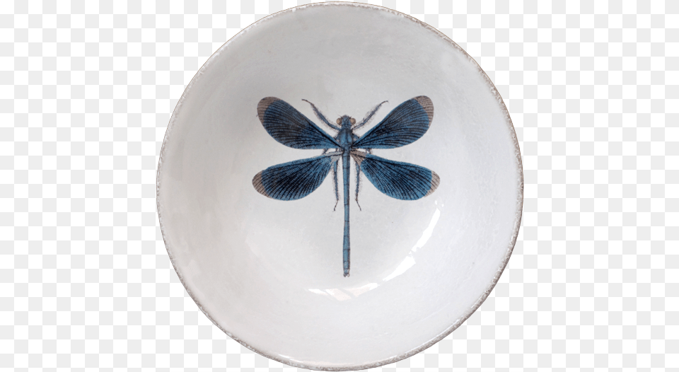 John Derian For Astier De Villatte Dragonfly Plate, Pottery, Art, Porcelain, Invertebrate Free Transparent Png