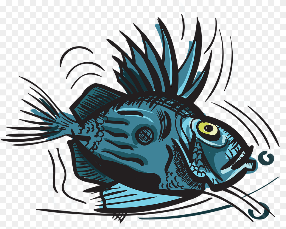 John Dory Fish Animal Fish, Sea Life, Baby, Person Png Image