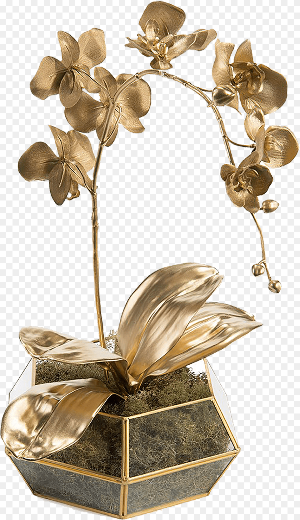 John Richard D Golden Hexagon Jrb, Bronze, Flower, Flower Arrangement, Plant Free Png Download