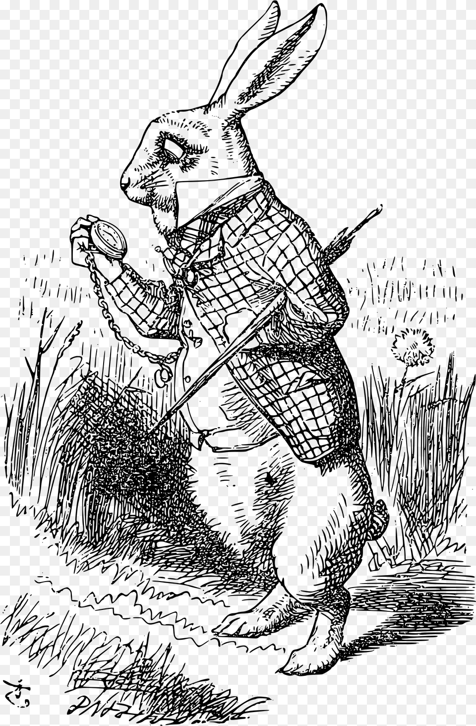 John Tenniel White Rabbit, Gray Free Png Download