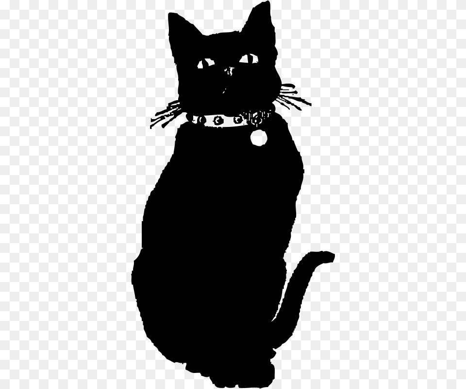 Johnny Automatic Black Cat, Gray Free Transparent Png