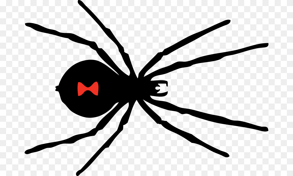 Johnny Automatic Black Widow Spider, Accessories, Formal Wear, Tie, Logo Png
