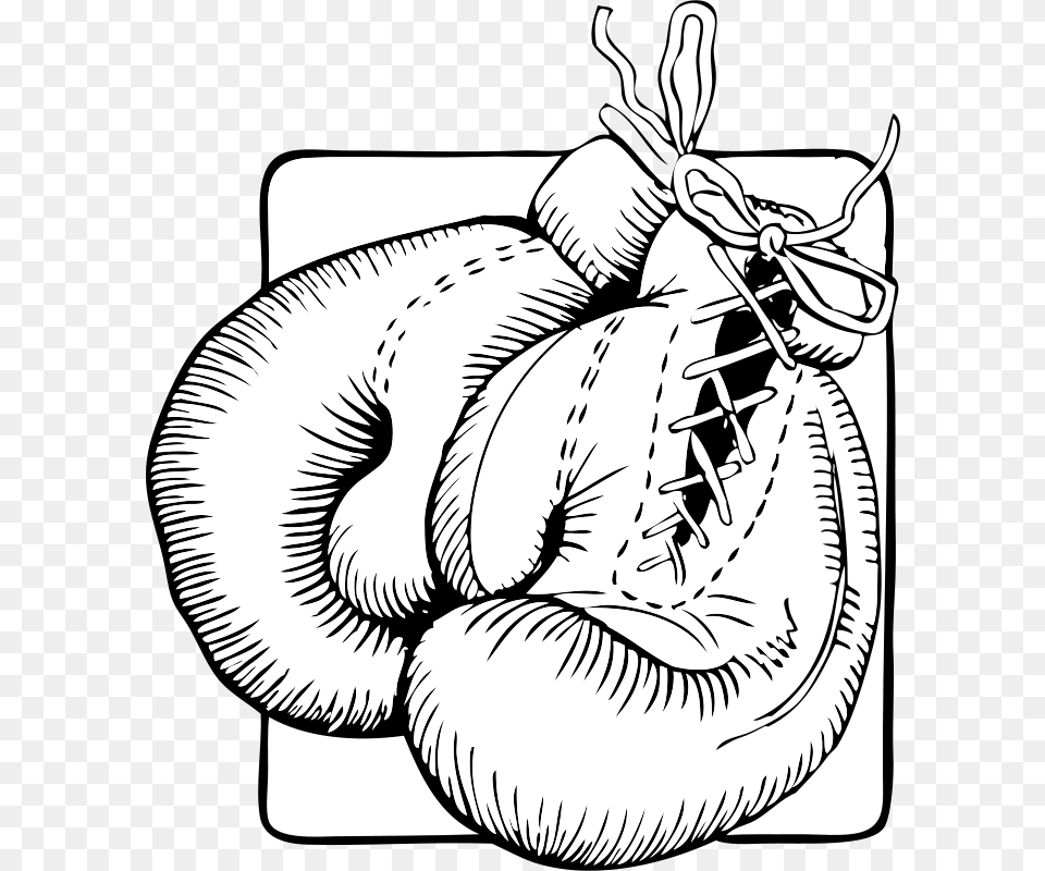Johnny Automatic Boxing Gloves, Baby, Knot, Person Free Png