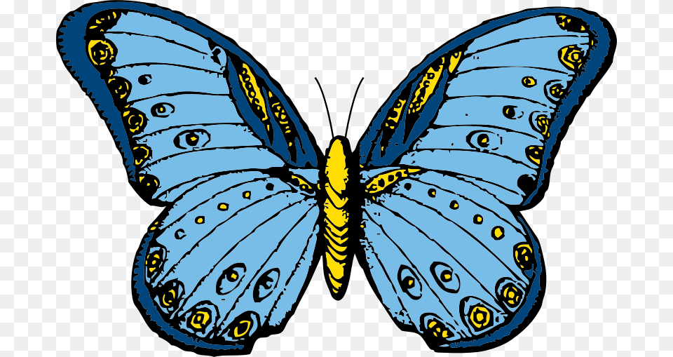 Johnny Automatic Butterfly, Animal, Baby, Insect, Invertebrate Png