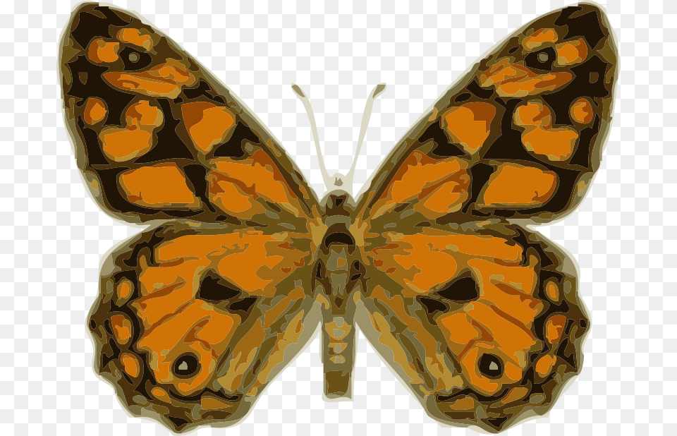Johnny Automatic Butterfly, Animal, Insect, Invertebrate, Monarch Free Png