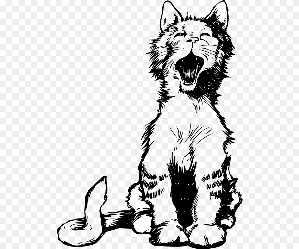 Johnny Automatic Cat S Meow, Silhouette, Animal, Mammal, Pet Free Transparent Png