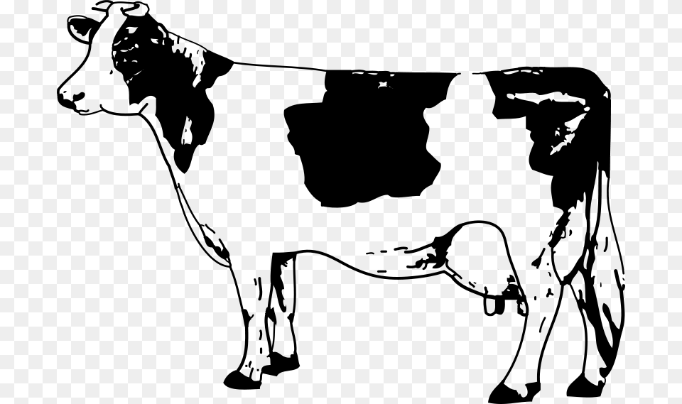 Johnny Automatic Cow, Gray Png