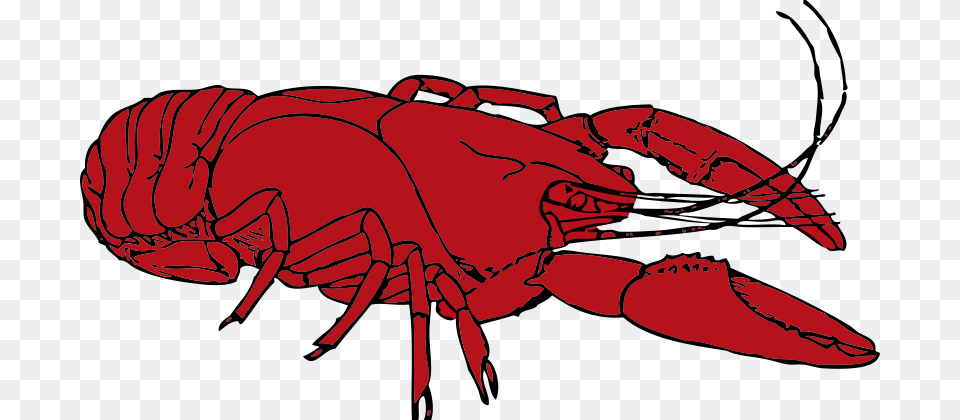 Johnny Automatic Crayfish, Food, Seafood, Animal, Sea Life Png Image