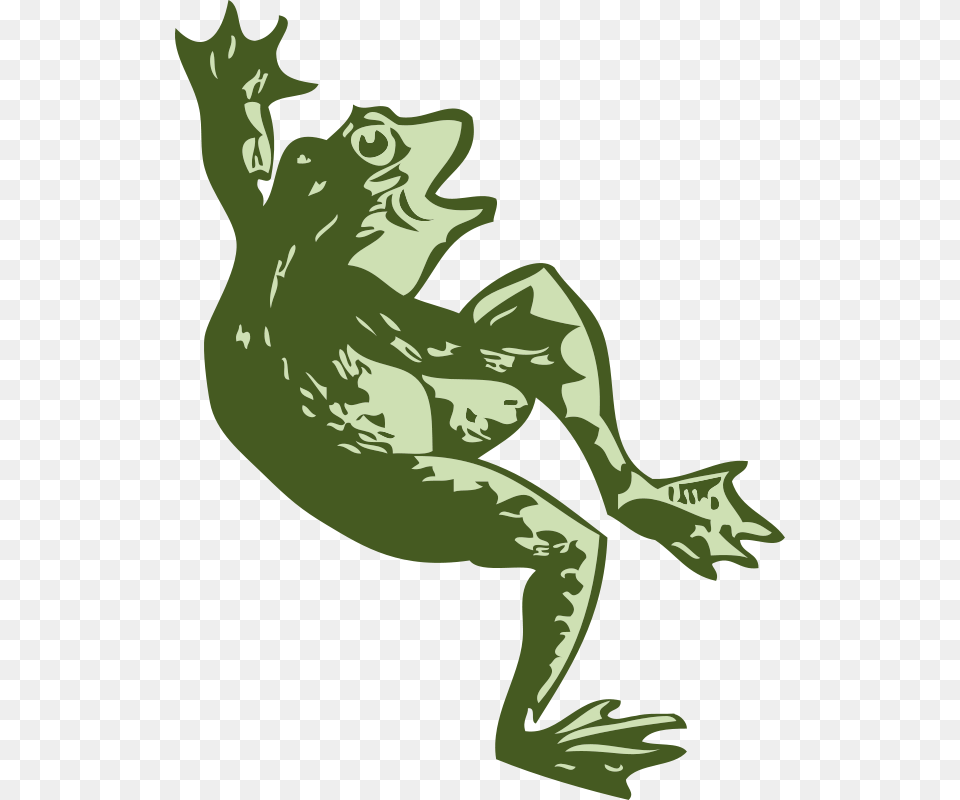 Johnny Automatic Dancing Frog, Amphibian, Animal, Wildlife, Person Png Image