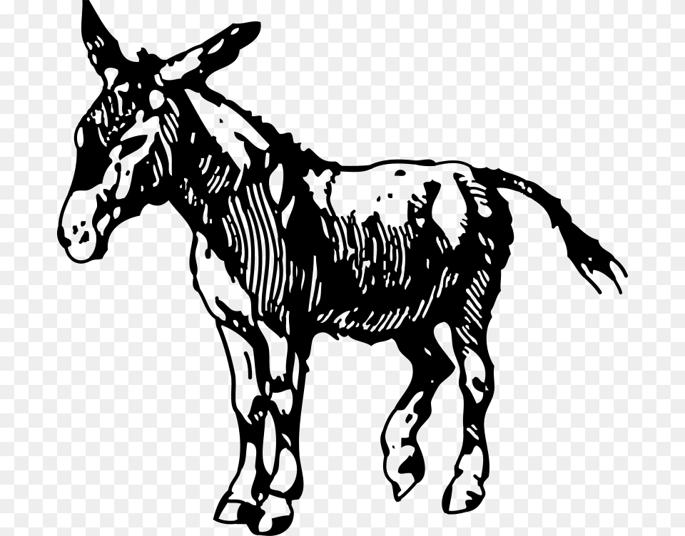 Johnny Automatic Donkey, Gray Png