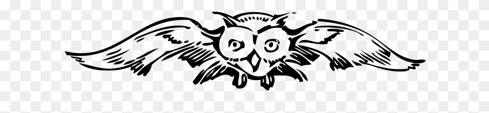 Johnny Automatic Front View Owl, Gray Png Image