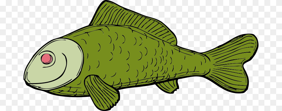 Johnny Automatic Green Fish, Animal, Sea Life, Carp Free Transparent Png