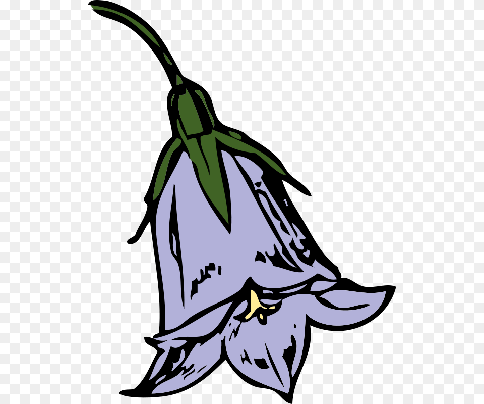 Johnny Automatic Harebell, Flower, Plant, Animal, Fish Free Png