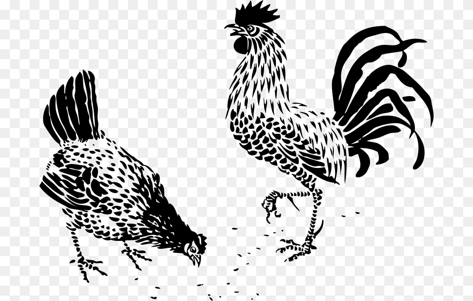 Johnny Automatic Hen And Rooster, Gray Png Image
