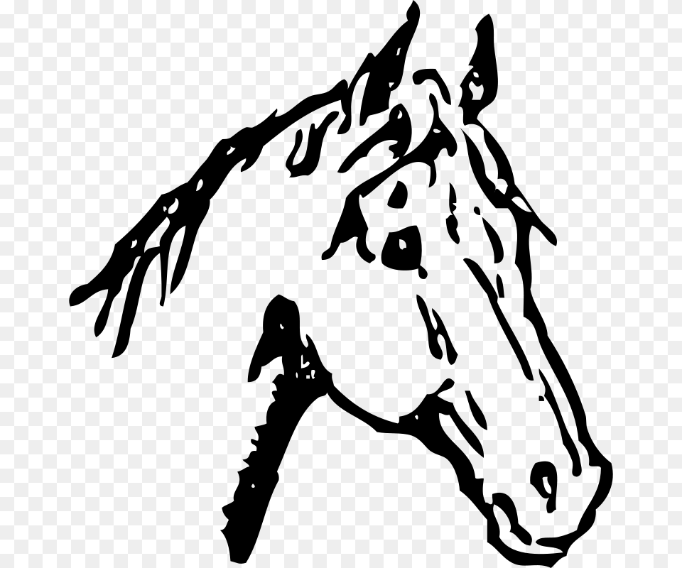 Johnny Automatic Horse Head, Gray Free Png Download