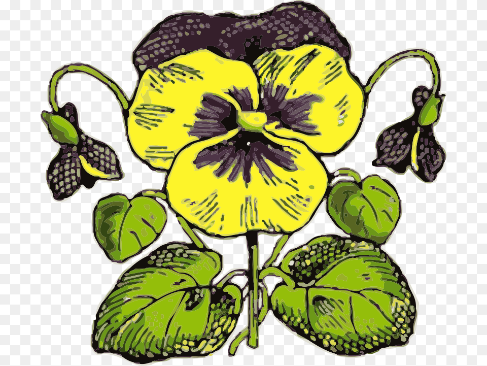 Johnny Automatic Pansy, Flower, Plant, Face, Head Png Image