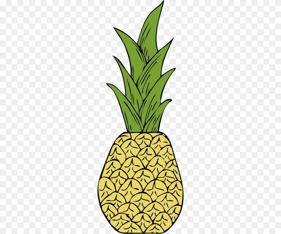 Johnny Automatic Pineapple, Food, Fruit, Plant, Produce Free Transparent Png