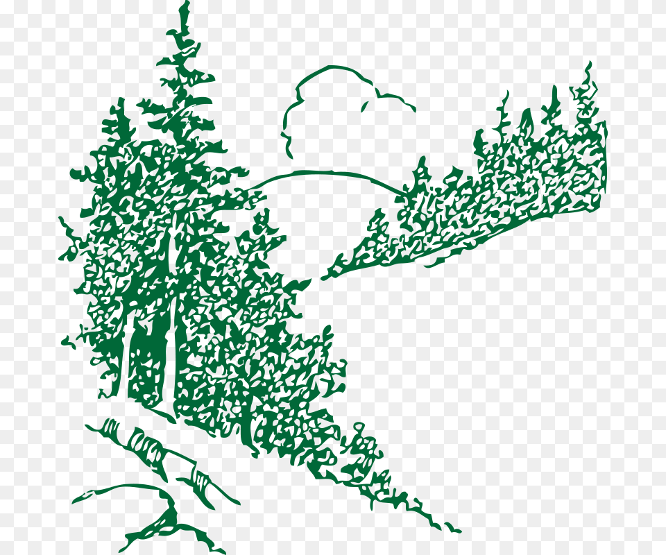 Johnny Automatic Pines, Outdoors, Vegetation, Tree, Green Png