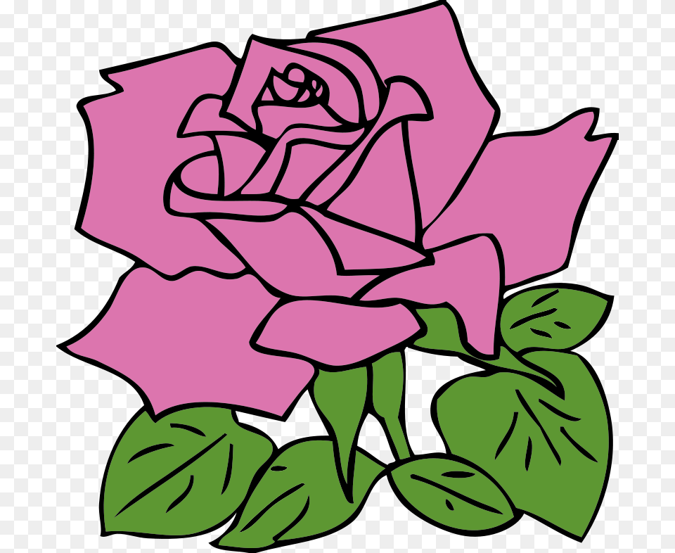 Johnny Automatic Pink Rose, Flower, Plant, Leaf, Art Free Png Download