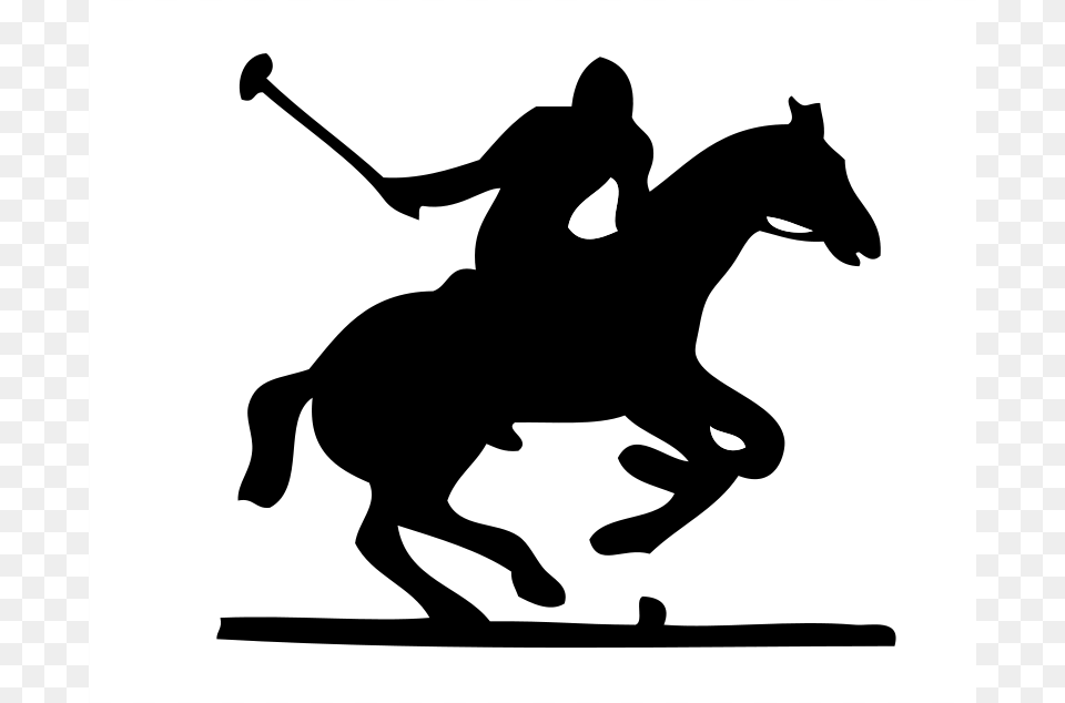Johnny Automatic Polo Pony, Animal, Team, Sport, Person Png Image