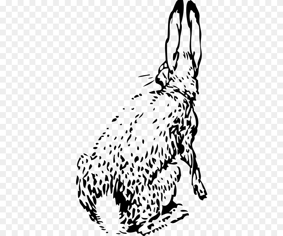 Johnny Automatic Rabbit From Behind, Gray Free Transparent Png
