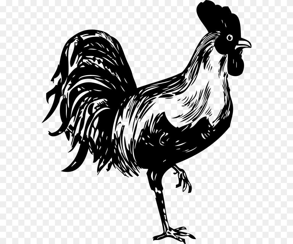 Johnny Automatic Rooster, Gray Free Transparent Png