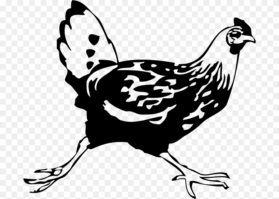 Johnny Automatic Running Chicken, Gray Free Png Download