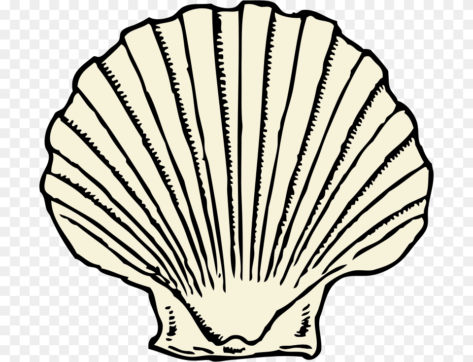 Johnny Automatic Scallop Shell, Animal, Clam, Food, Invertebrate Free Png Download